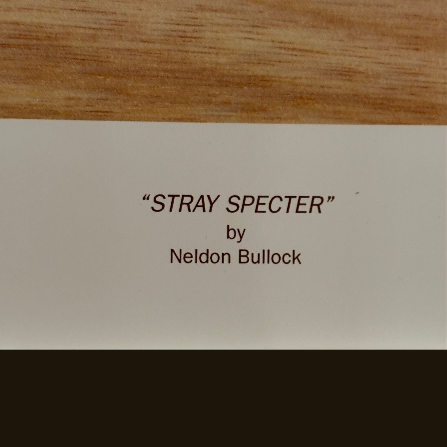 Text 'STRAY SPECTER by Neldon Bullock' on a wooden background